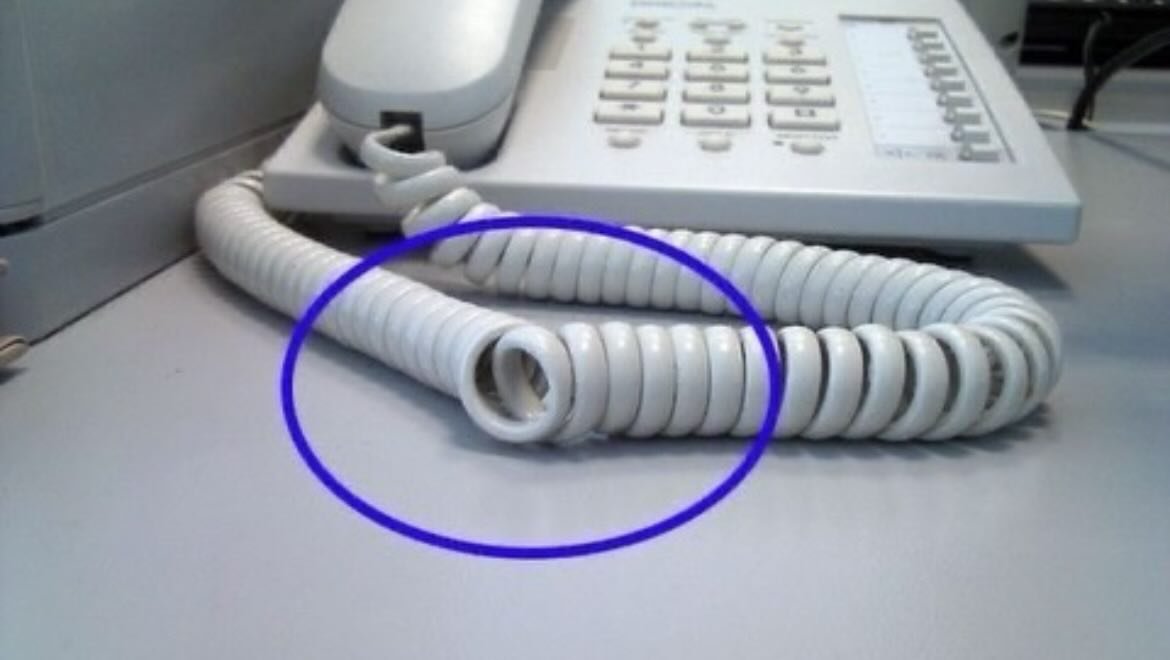 Ramin Nasibov tweet media