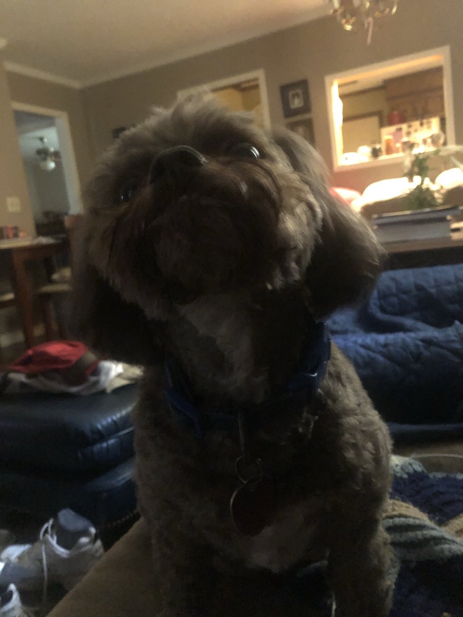 BrerTaylor tweet media