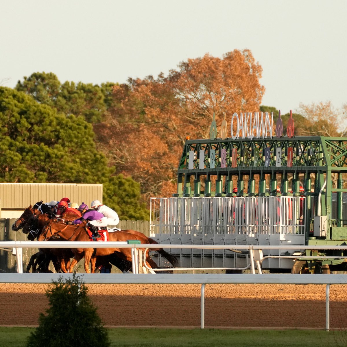 Conley Ecclestone tweet media