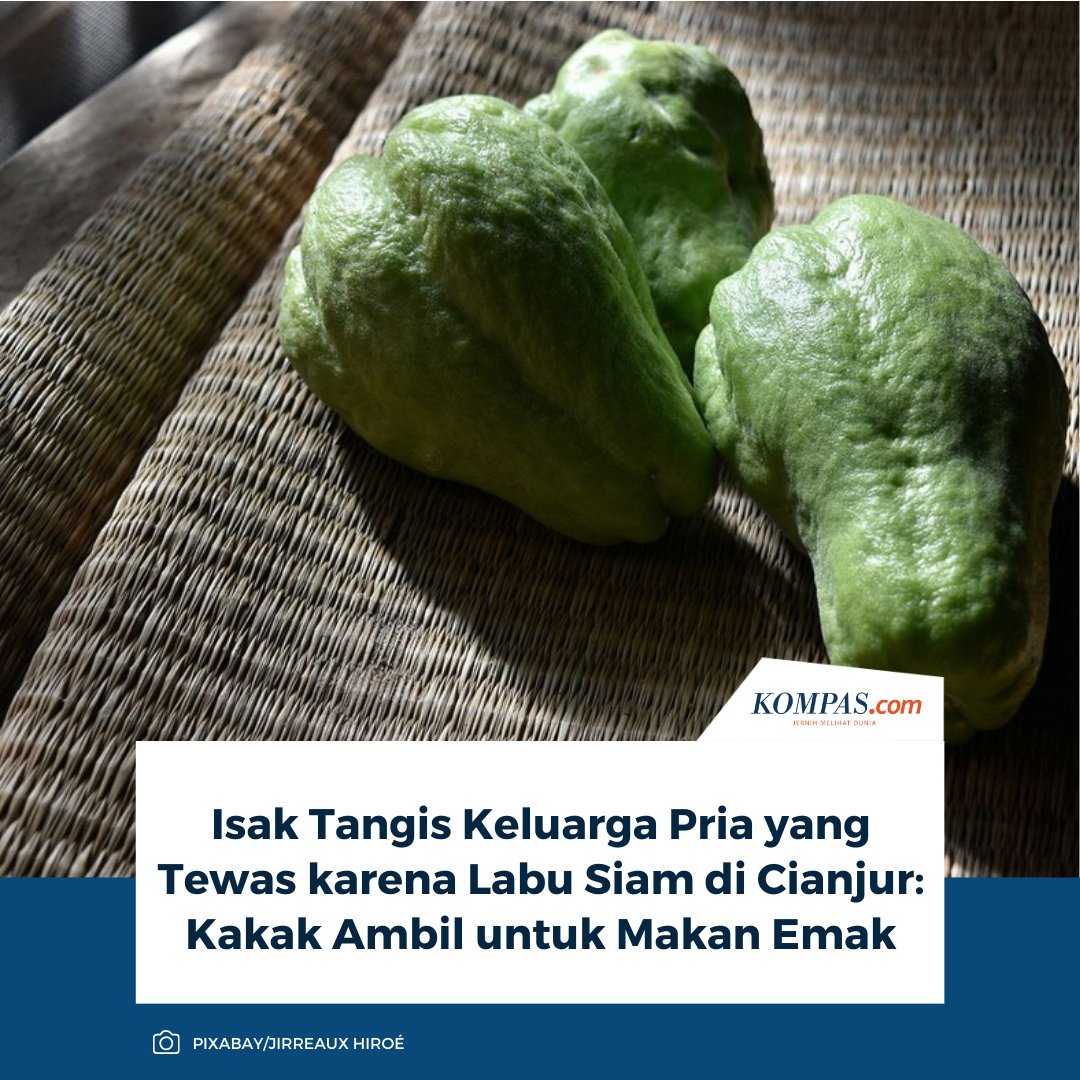 "Emak ingin makan pakai sayur, tapi kakak tidak punya uang. Dia bawa dua biji labu untuk dimasak, tapi belum sempat matang, pelaku sudah datang ke rumah," ujar adik korban Tita dengan mata berkaca-kaca, Kamis (5/3/2026).

Baca selengkapnya: bandung.kompas.com/read/2026/03/0….

~SN #LabuSiam