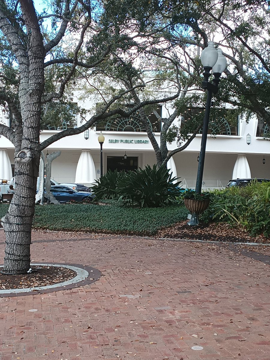 Popped Culture - A Safugee living in the US 🇺🇸 tweet media