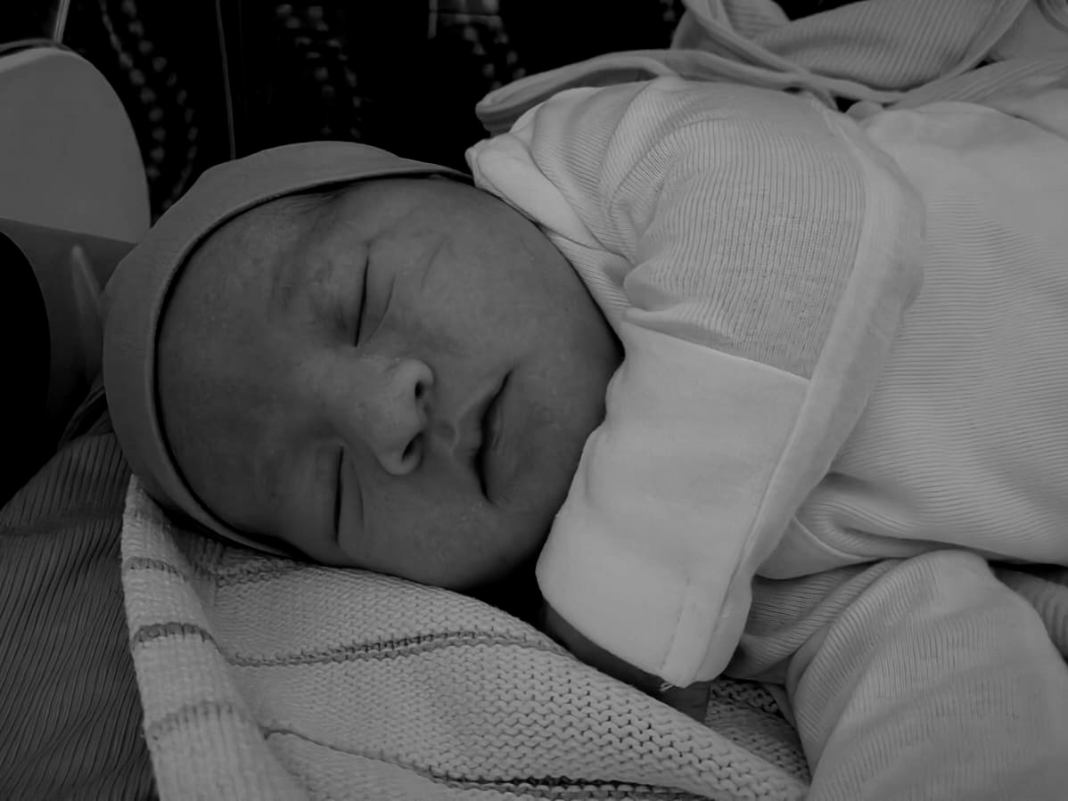 Avromy Super tweet media