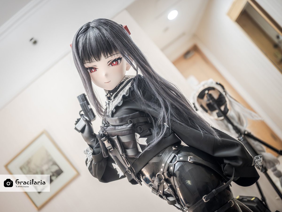 Gracilaria tweet media