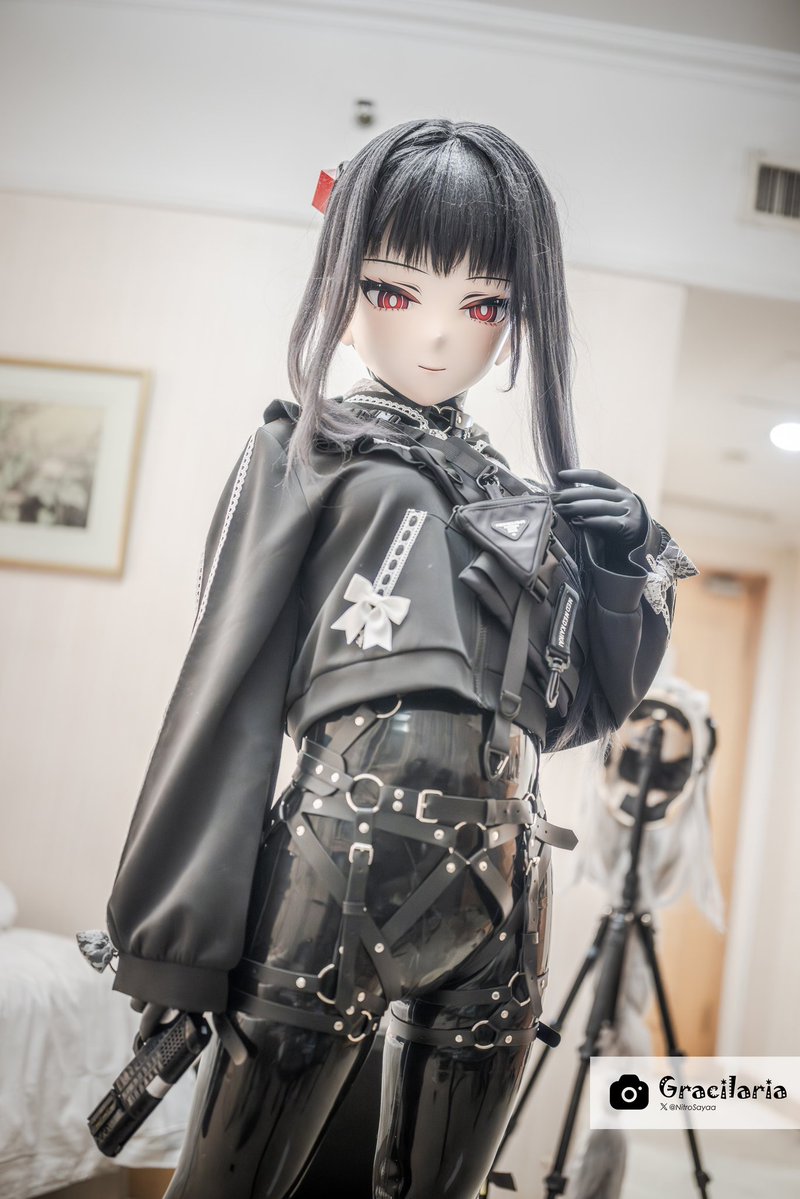 Gracilaria tweet media