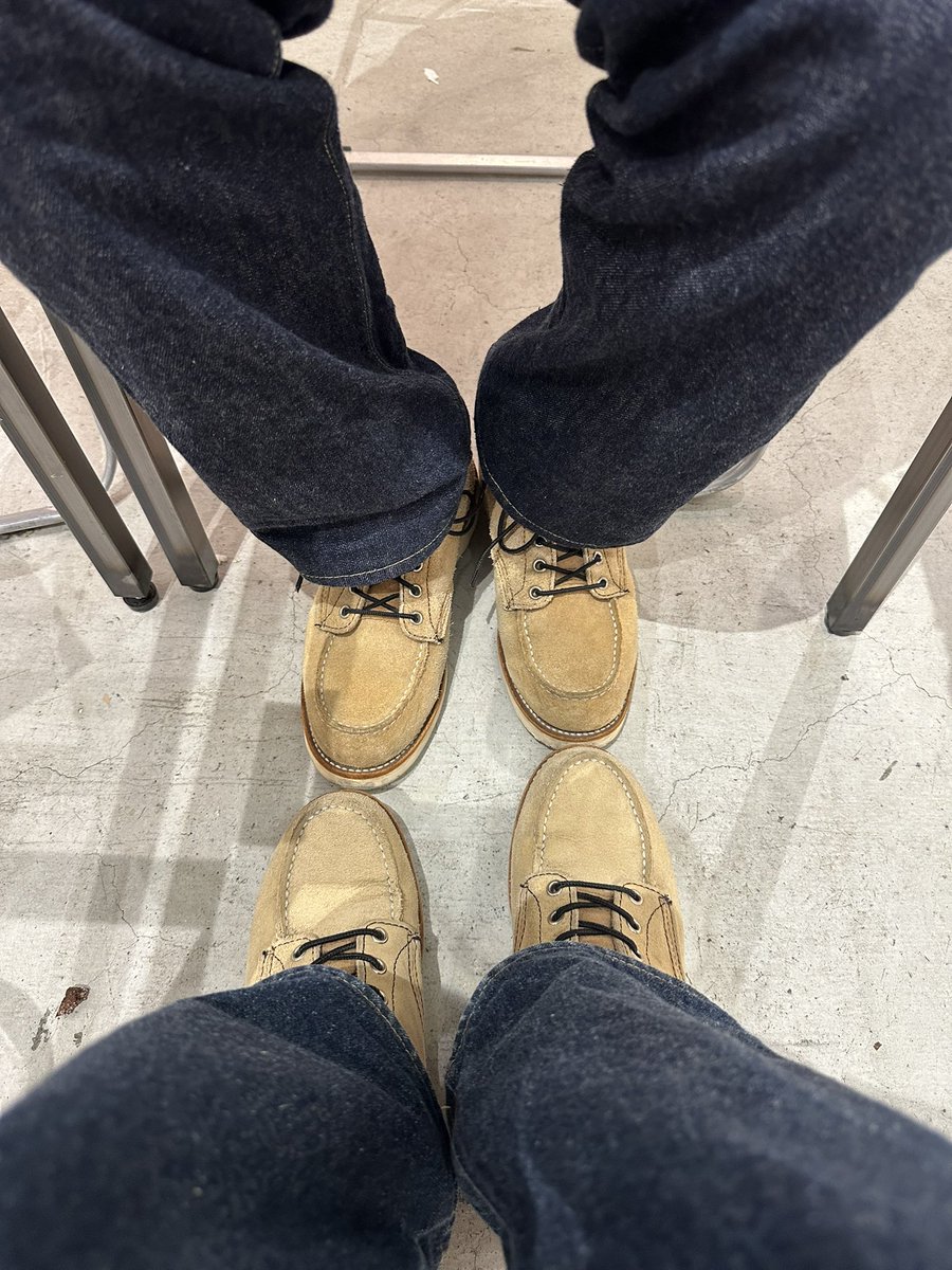 大見拓土 tweet media