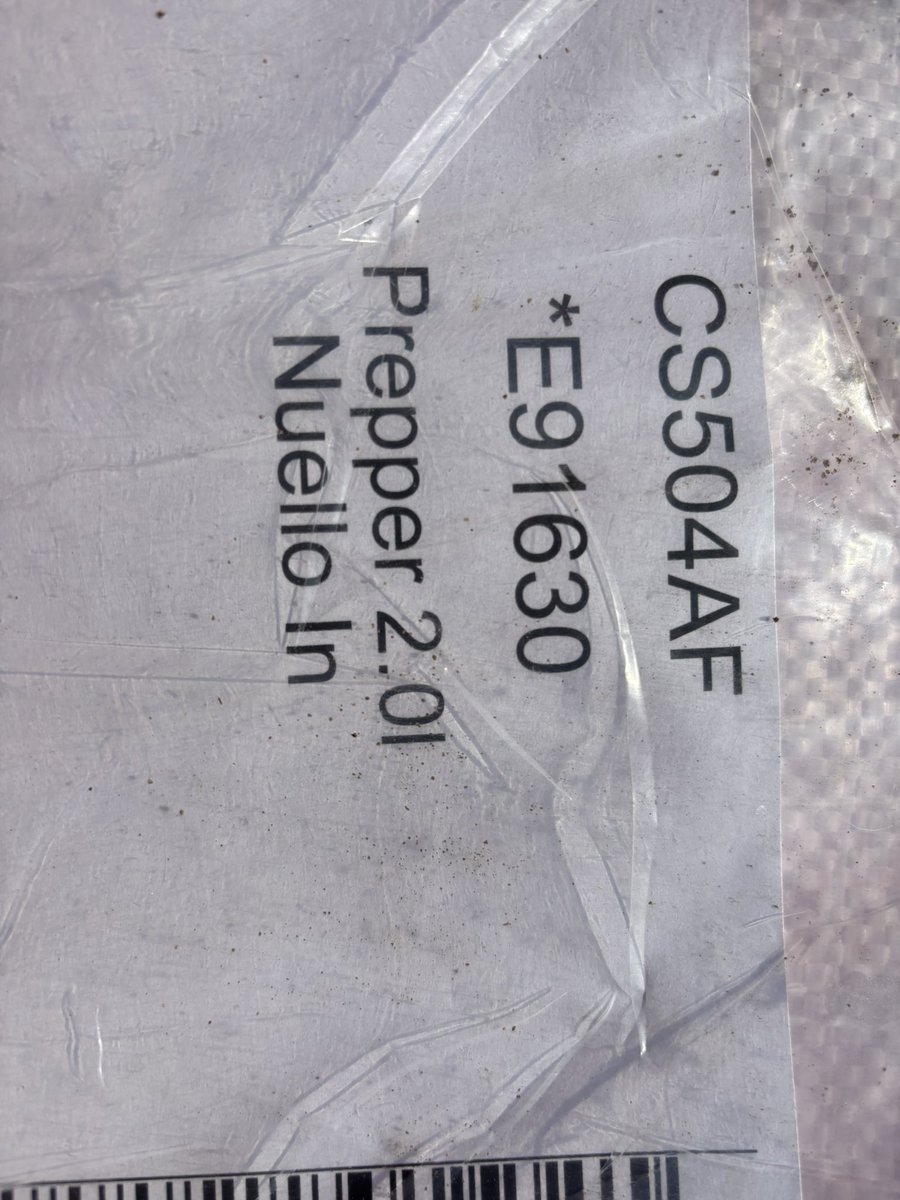 Russell Corfield tweet media