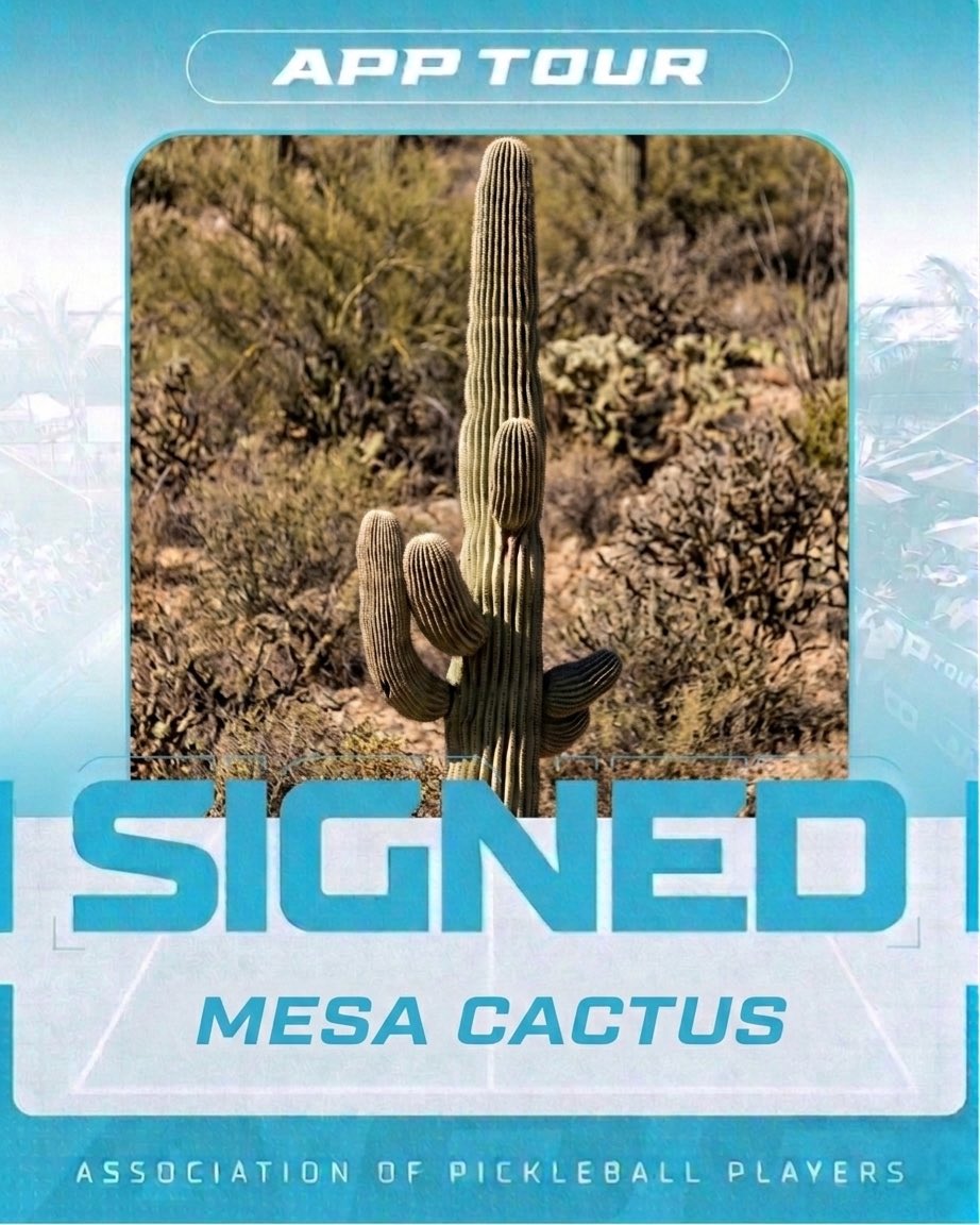 PBInsider tweet media