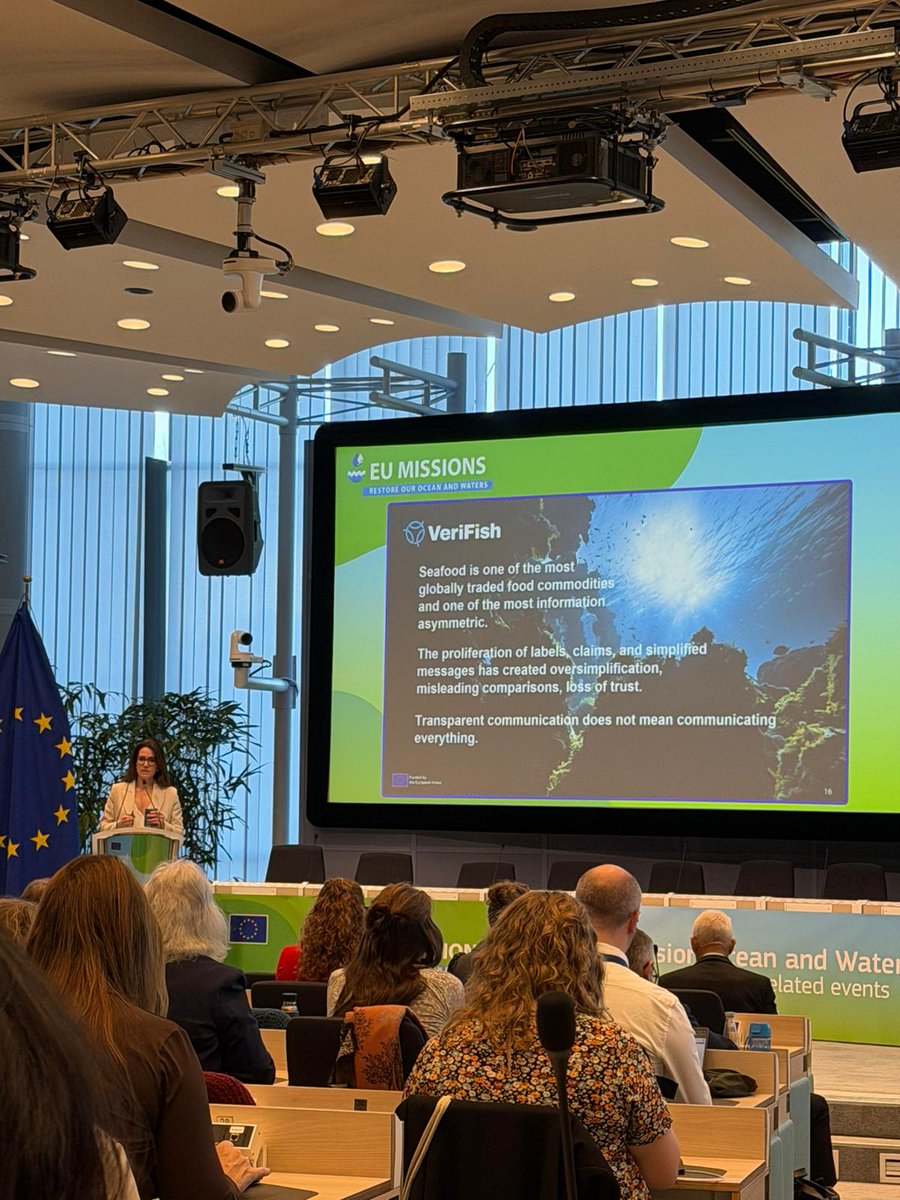 VrFsh_project tweet media