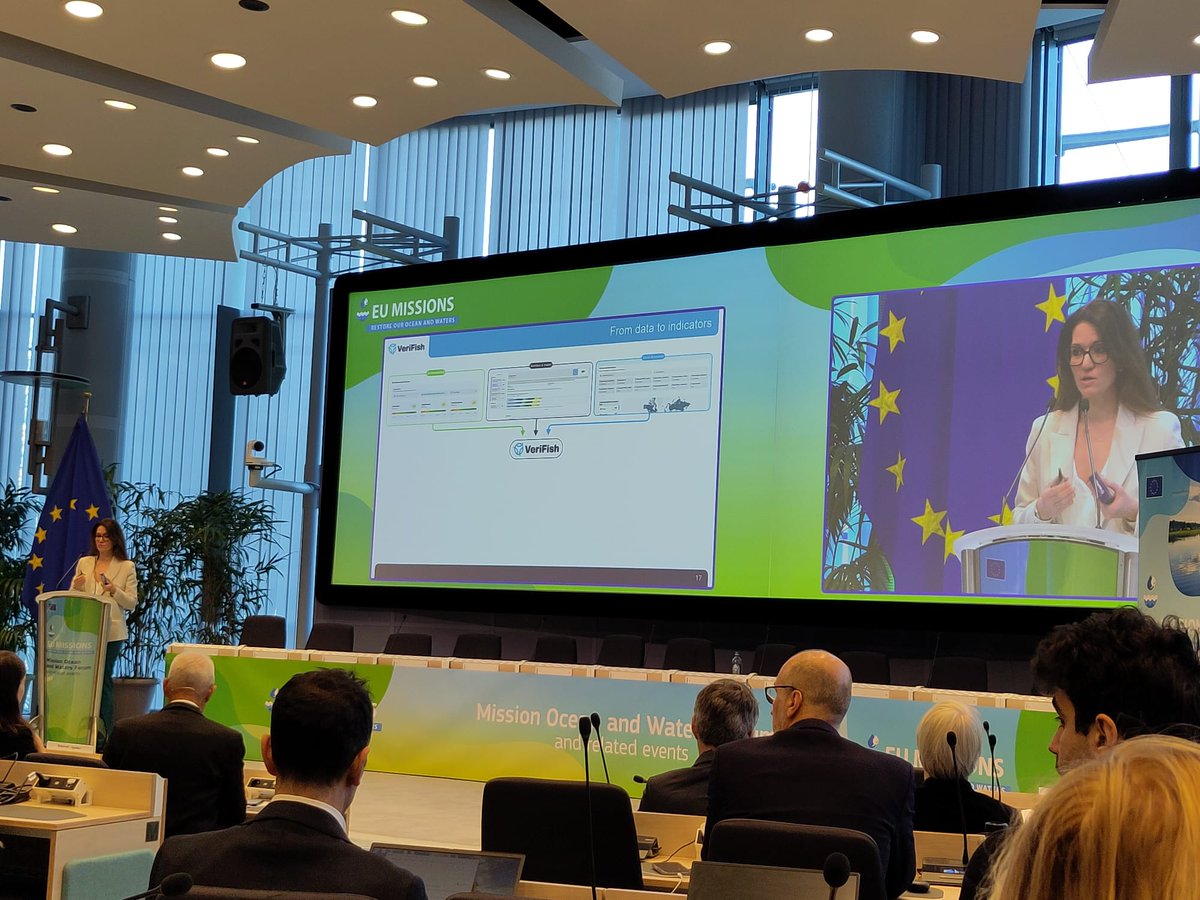 VrFsh_project tweet media