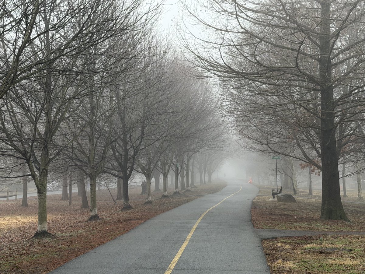 TomMockler's tweet photo. Into the haze #fog ⁦@capitalweather⁩ ⁦@ARLnowDOTcom⁩ ⁦@railstotrails⁩ https://t.co/L7PPa1vkJV