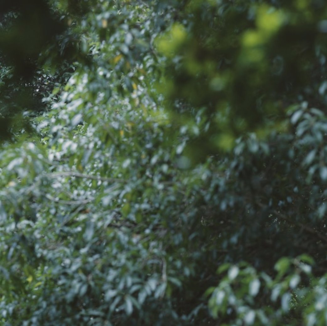 duke mfa|eda tweet media