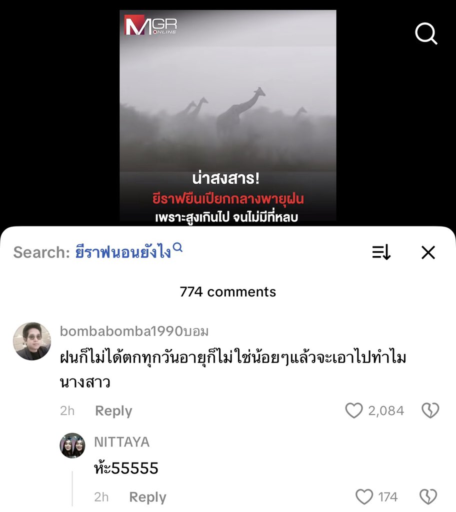 คาปิบาร่าขนนุ่ม tweet media