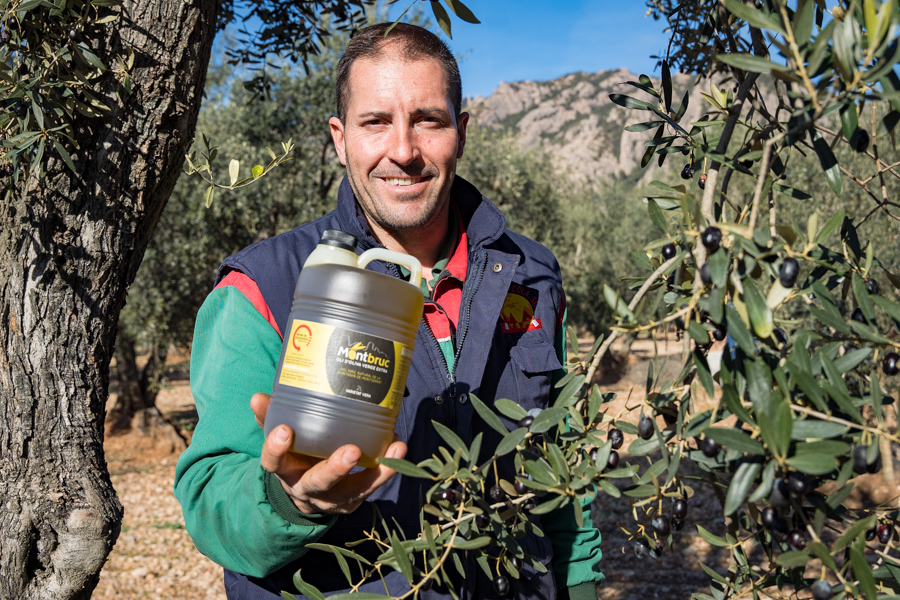 🌿 Coneixes l’oli Montbruc?

Elaborat amb la Vera del Montserratí, una varietat única del Baix Llobregat i Anoia. Collit al punt òptim i mòlt el mateix dia per preservar-ne la frescor.

Un verge extra amb ànima de territori: cada ampolla és un trosset del #ParcRuraldelMontserrat.