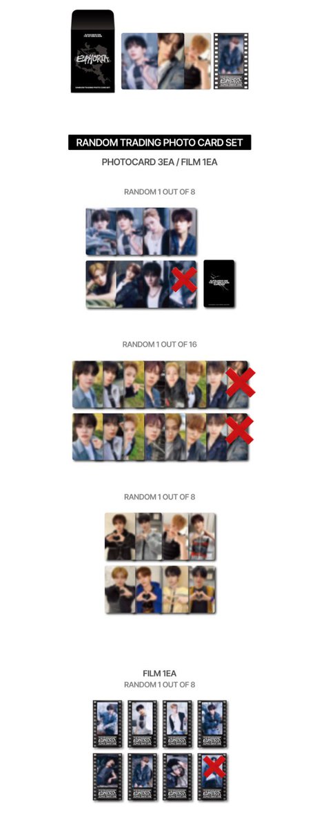 🐶🐱 tweet media