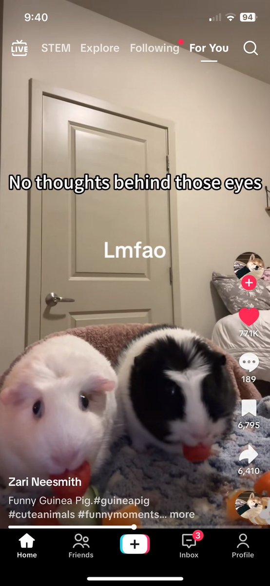 socks real tweet media