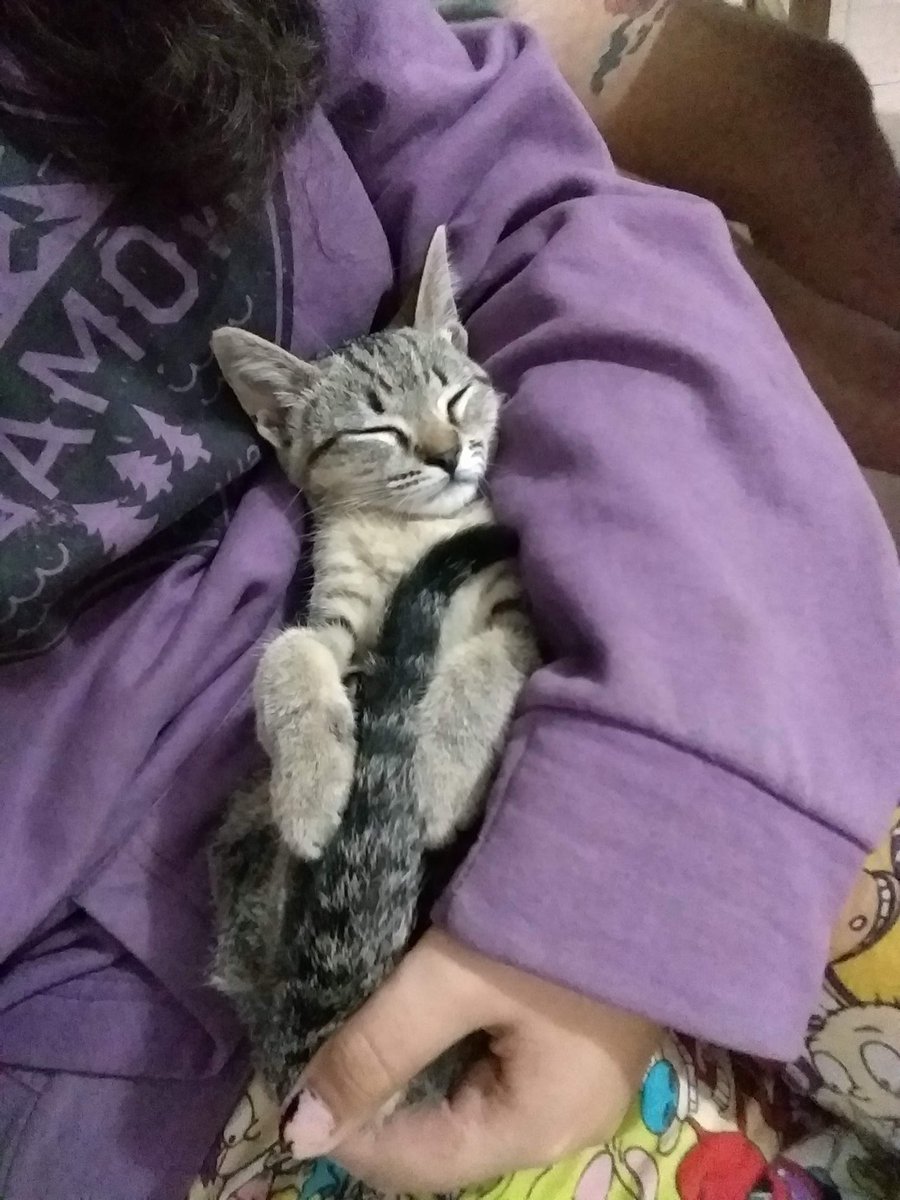 DIOSSSS MIREN LO QUE ERA IRUYA