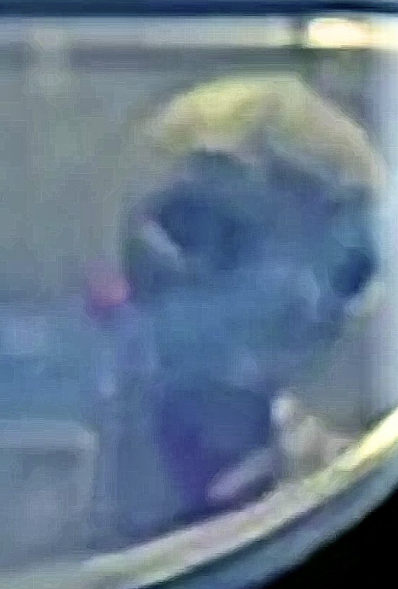 Jon Stewart tweet media