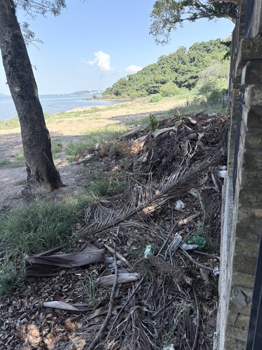 cafaeldias's tweet photo. @SebastiaoMelo @dmaepoa @DMLU_POA @Prefeitura_POA @rbstv quero saber qdo vão limpar esse lixo que está acumulado na frente dos condomínios na orla do Guaíba, na parte que os porto alegrenses não visitam ! Desde as enchentes só acumulam lixo e só limpam a parte turística https://t.co/e8xL5PP8aB