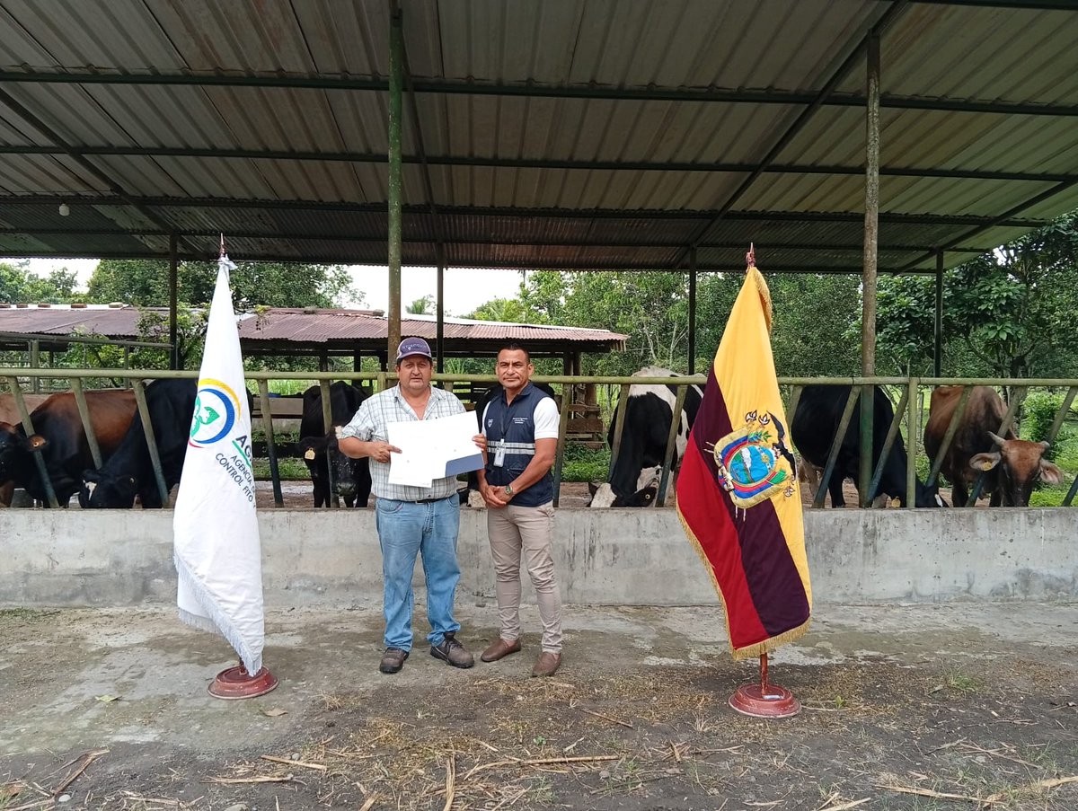 AgrocalidadZ2's tweet photo. #Orellana📍 | Entregamos certificados de predios libres de brucelosis y tuberculosis bovina en la parroquia Unión Milagreña, cantón Joya de los Sachas.
Fortalecemos el estatus zoosanitario y promovemos una ganadería responsable y segura, protegiendo la salud de los consumidores. https://t.co/3PEwiNj6C4