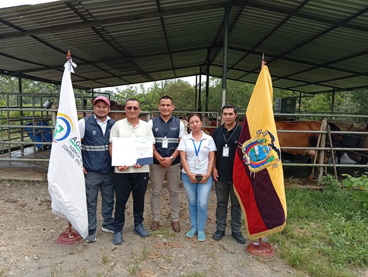 AgrocalidadZ2's tweet photo. #Orellana📍 | Entregamos certificados de predios libres de brucelosis y tuberculosis bovina en la parroquia Unión Milagreña, cantón Joya de los Sachas.
Fortalecemos el estatus zoosanitario y promovemos una ganadería responsable y segura, protegiendo la salud de los consumidores. https://t.co/3PEwiNj6C4