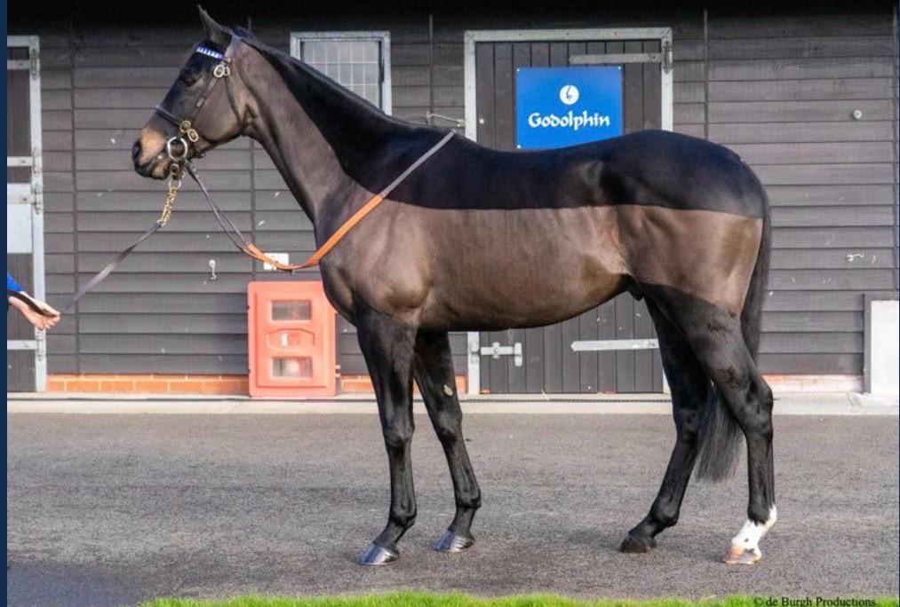 Keston Racing Club tweet media