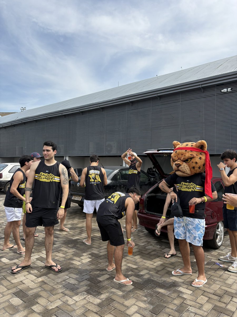 Brasil Storm CS tweet media