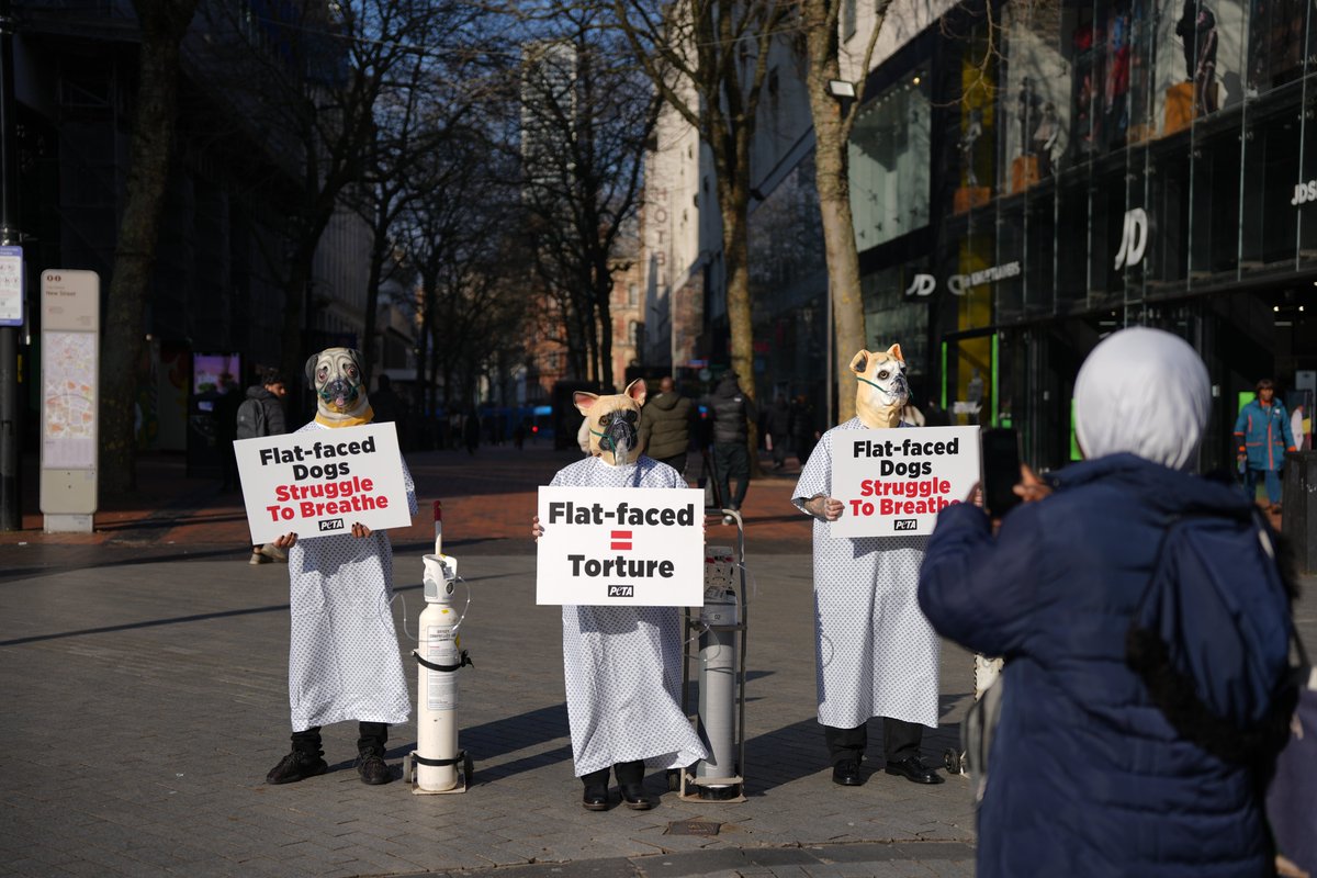 I Choose Birmingham tweet media