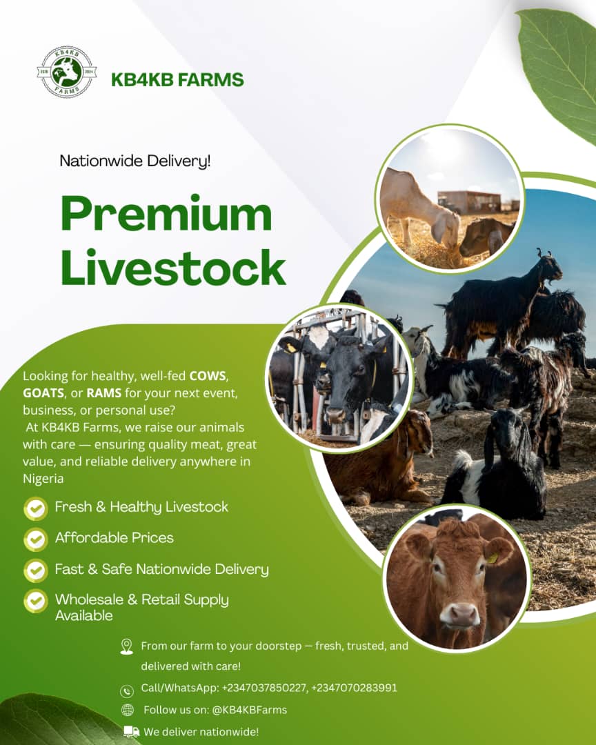 Abdulkabeerogba's tweet photo. Give us a call https://t.co/84m0XcrRMg