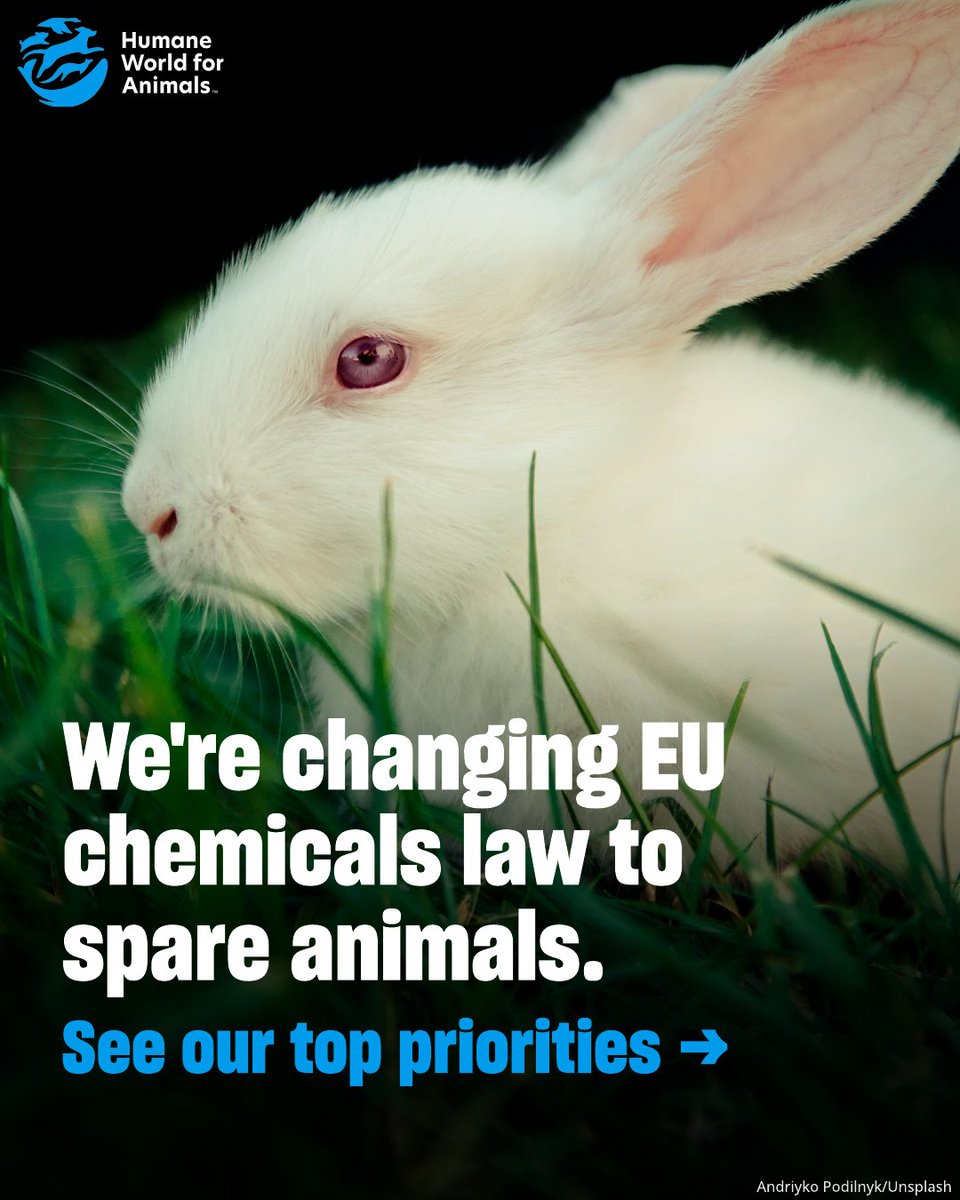 Humane World for Animals Europe tweet media