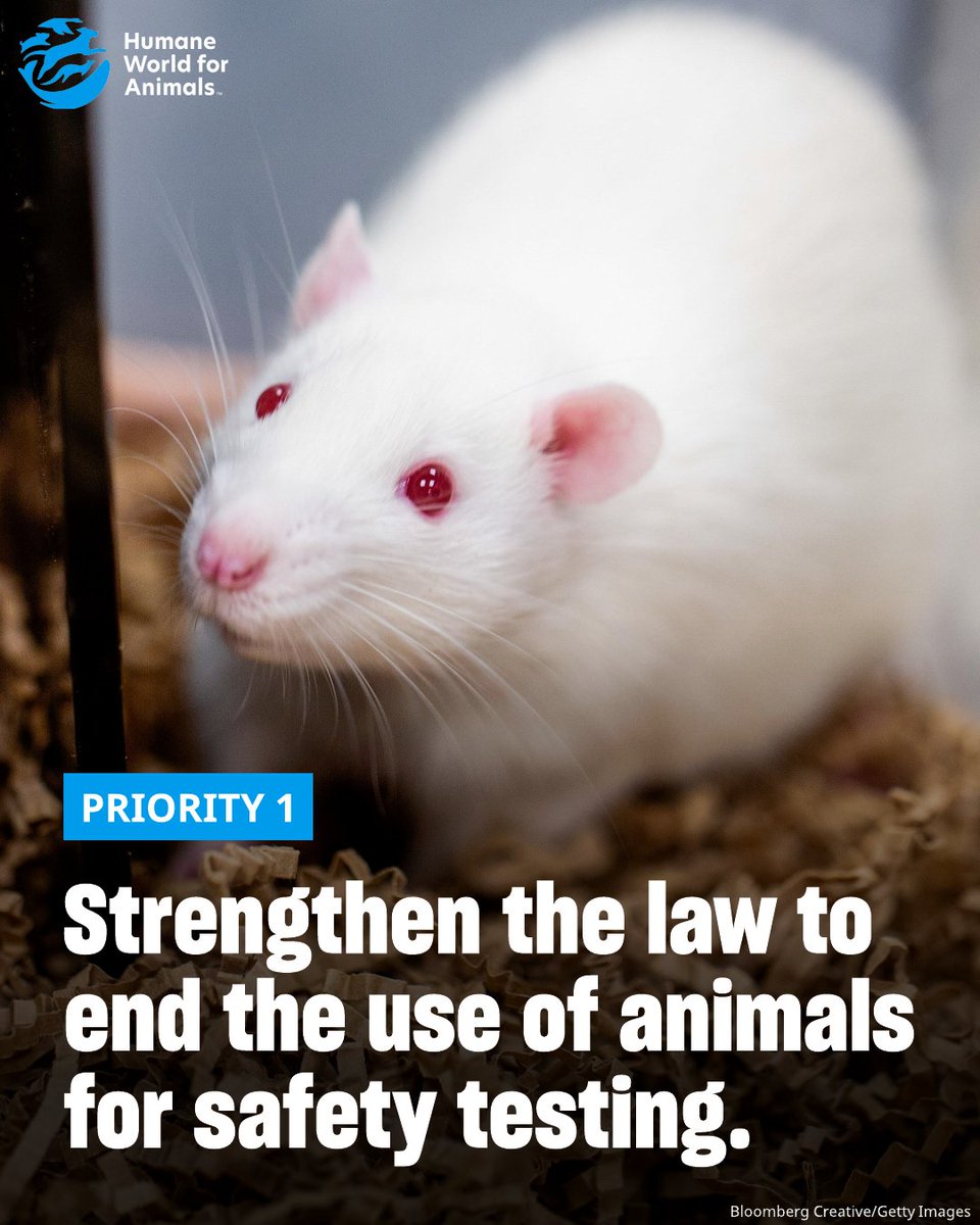 Humane World for Animals Europe tweet media