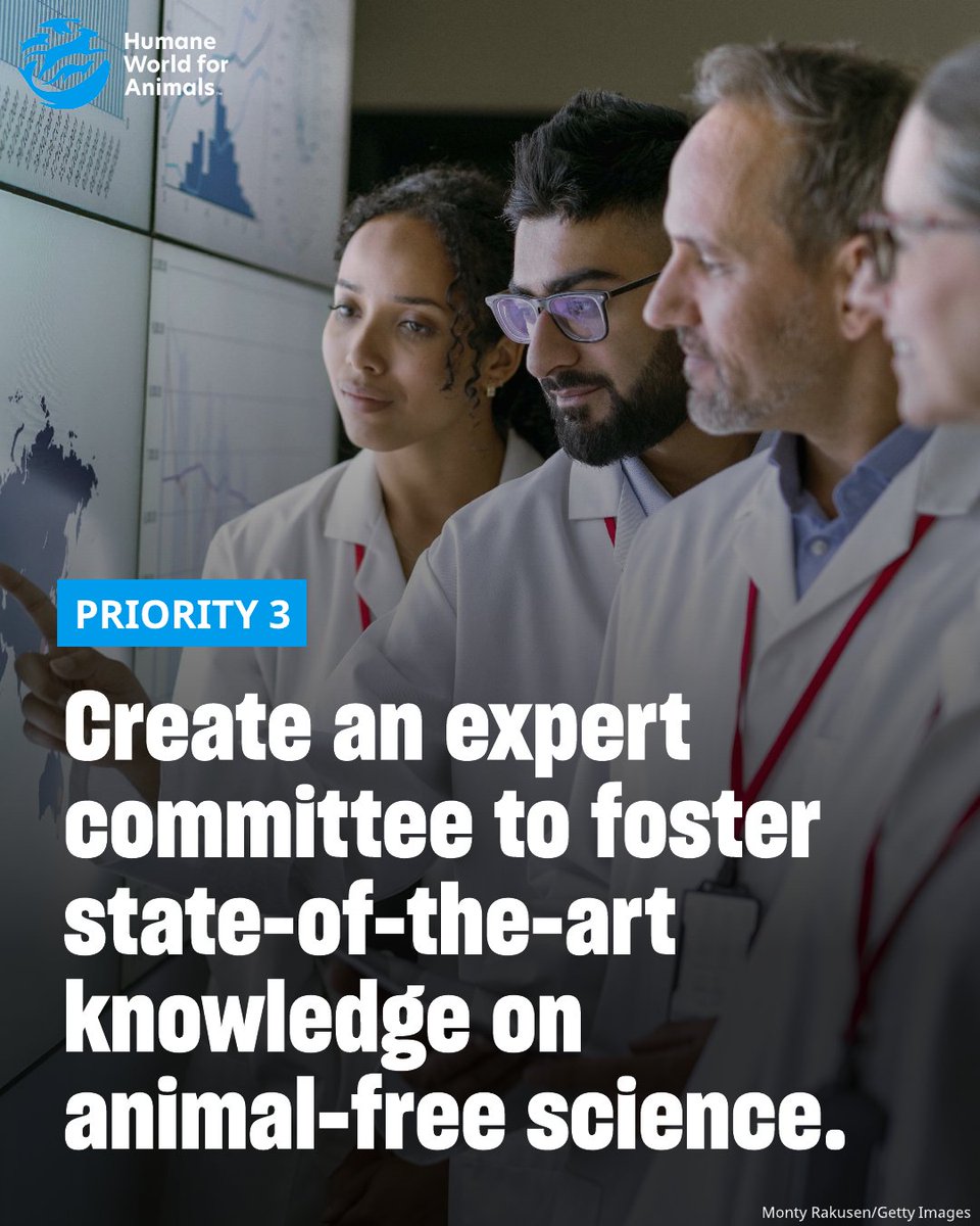 Humane World for Animals Europe tweet media