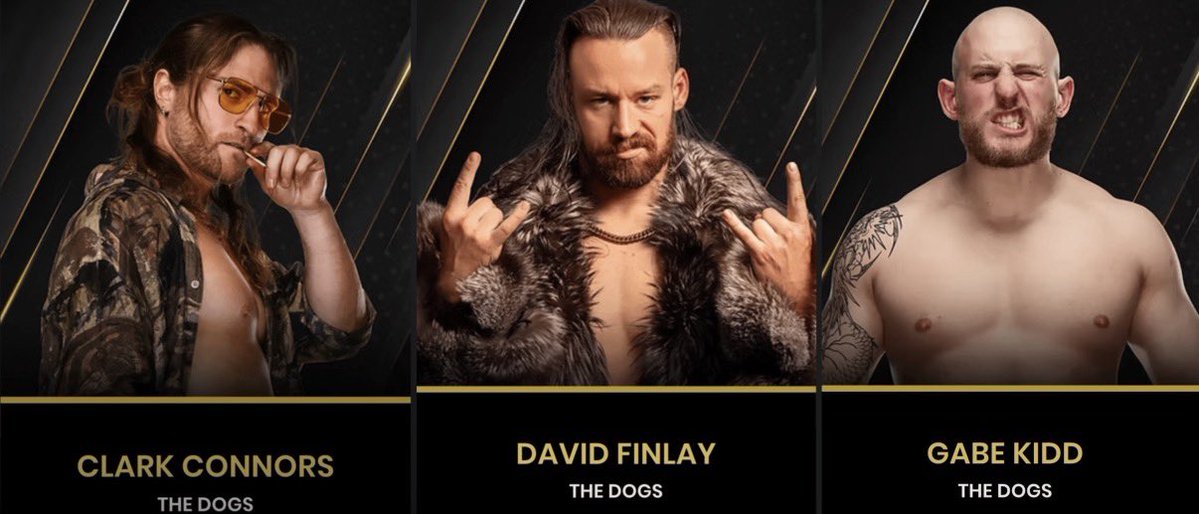 KXNGAO's tweet image. David Finlay, Gabe Kidd, and Clark Connors have been added to the AEW roster page 🐶🐶🐶