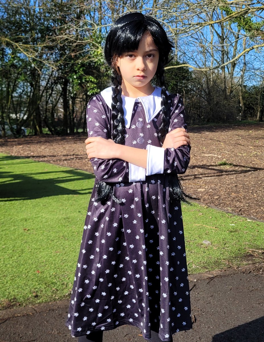 Springfield Primary School tweet media