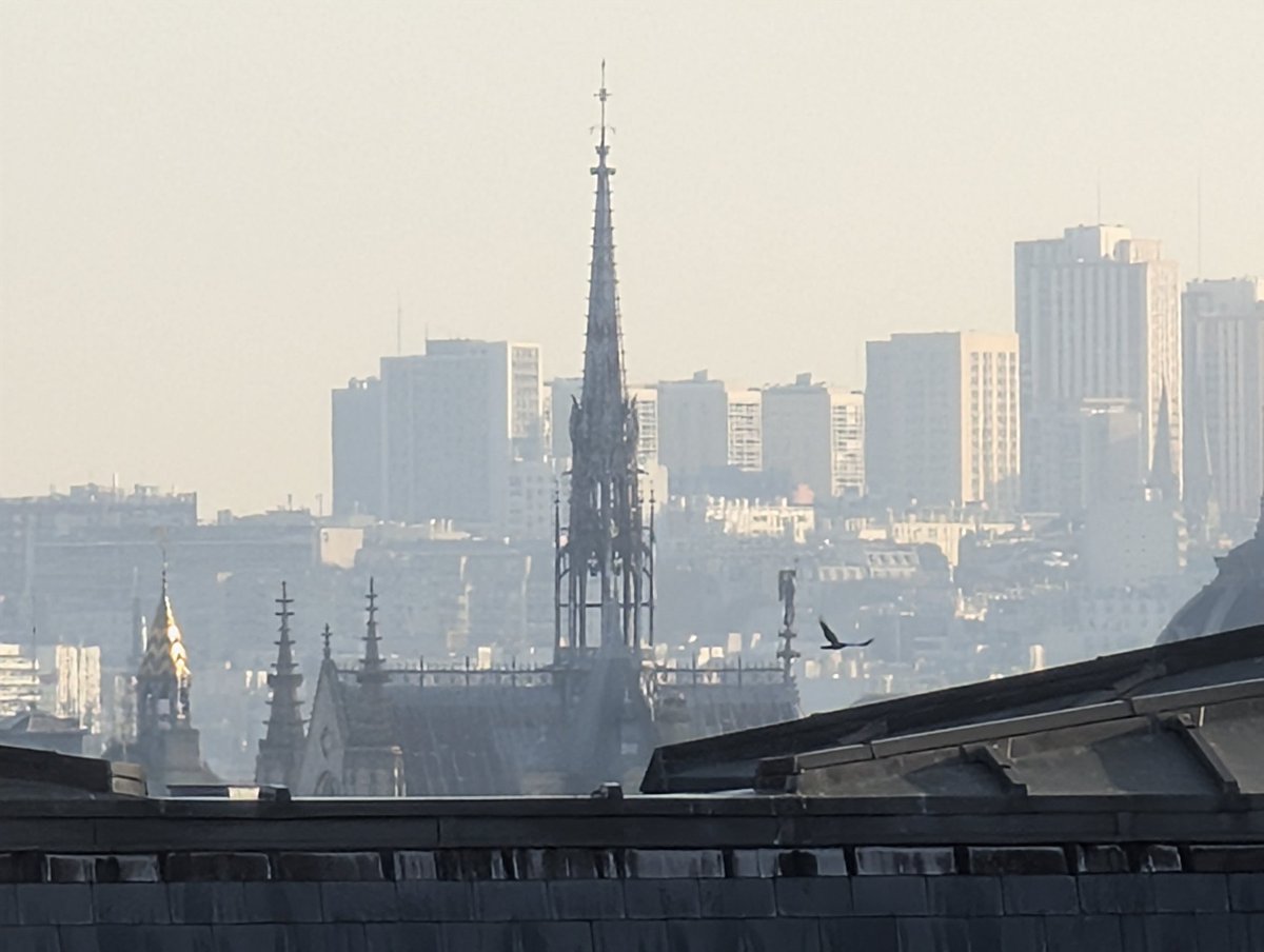 Martin Dumont tweet media