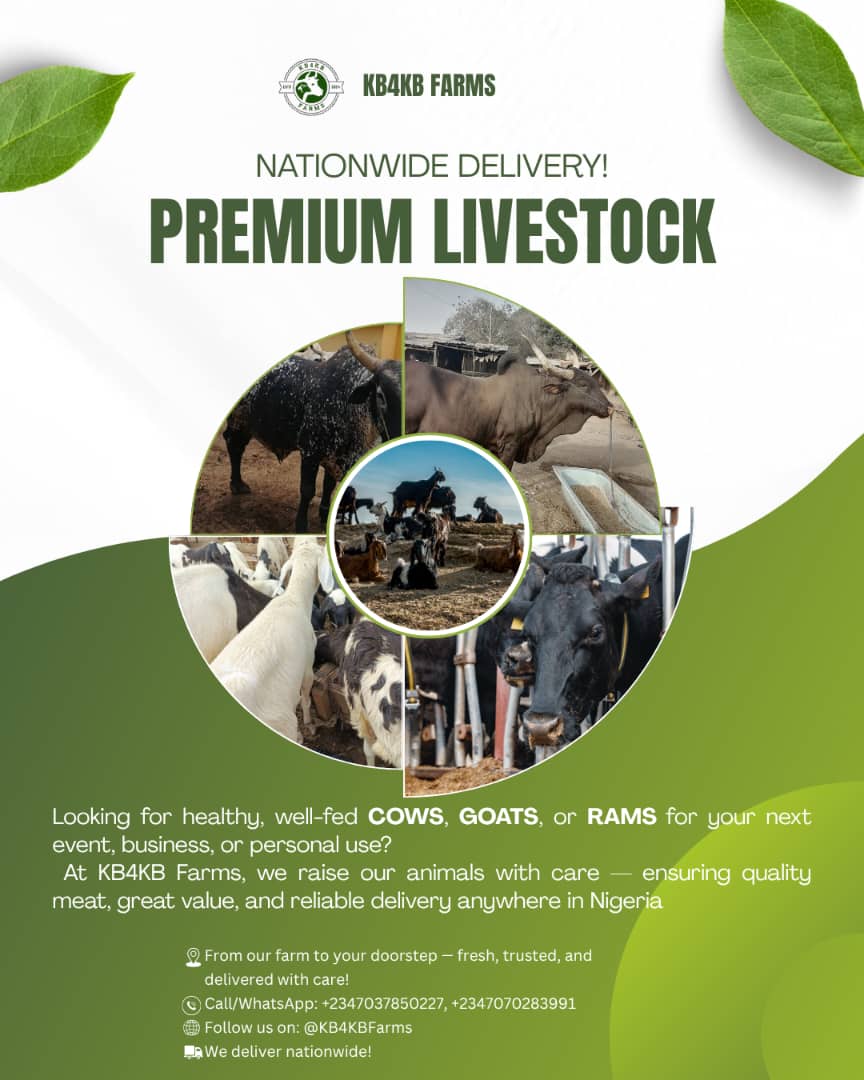 Abdulkabeerogba's tweet photo. Call us delivery to every part of Southern Nigeria https://t.co/CyG5PCXpnW