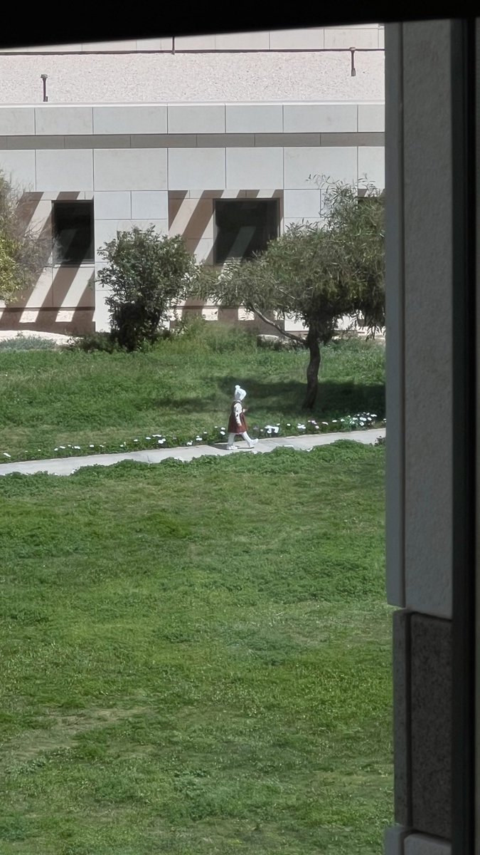 Wahaj ✦ tweet media