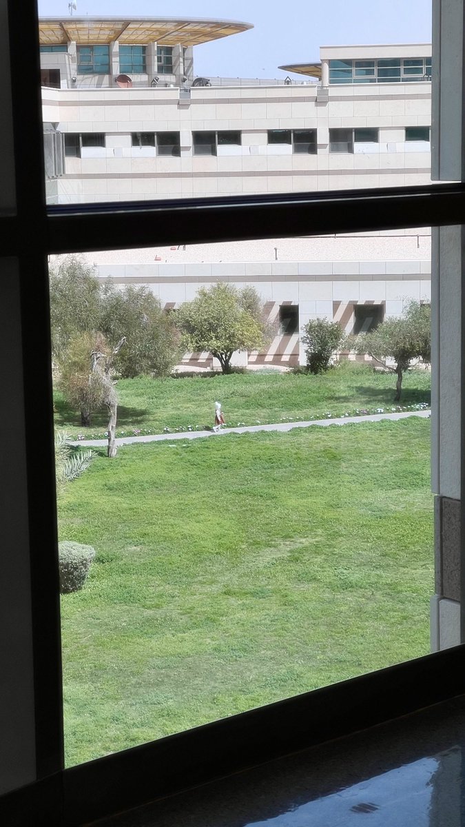 Wahaj ✦ tweet media