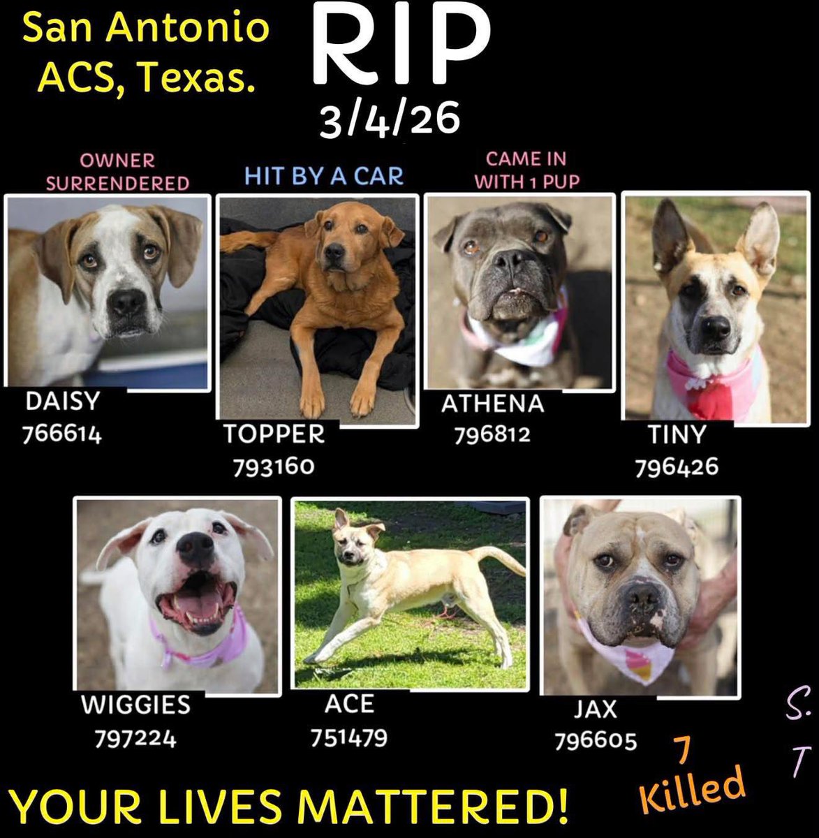 Aurora ⸆⸉ misses Liam ❯❯❯❯ tweet media