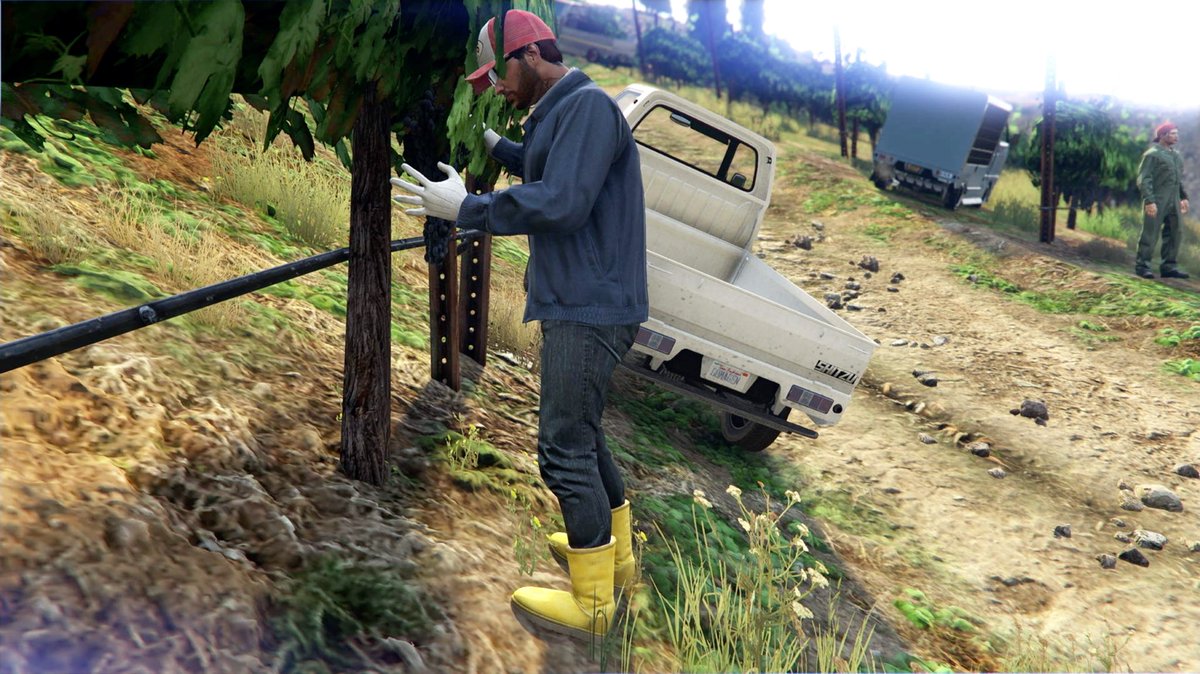 PAPATERA / パパテラ tweet media