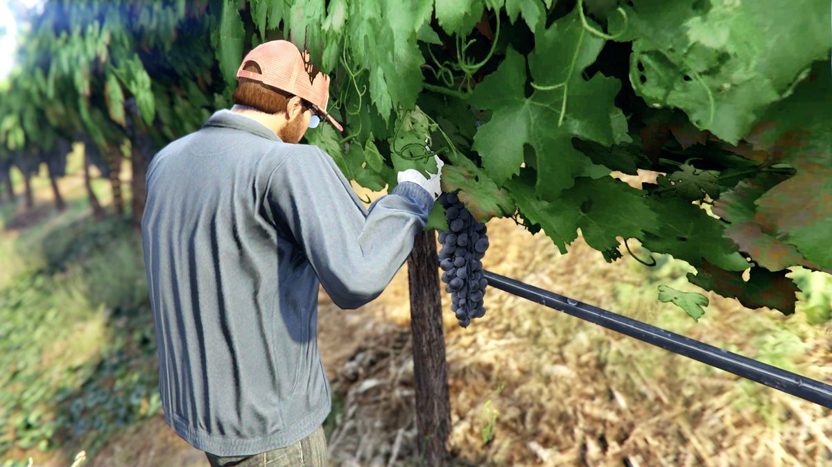 PAPATERA / パパテラ tweet media