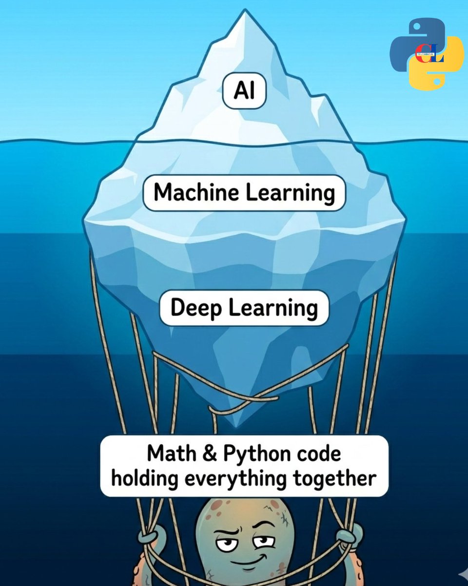 Python Coding tweet media