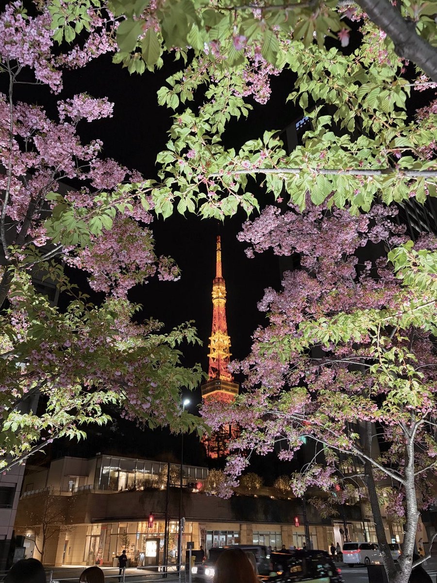 _xiao1ing_'s tweet photo. 麻布台ヒルズ近くの夜桜スポット✨️
東京タワーのライトアップと桜の組み合わせ天才すぎるт т♡

神谷町駅5番出口がいちばん近い📍 https://t.co/kGq5E5CnUA