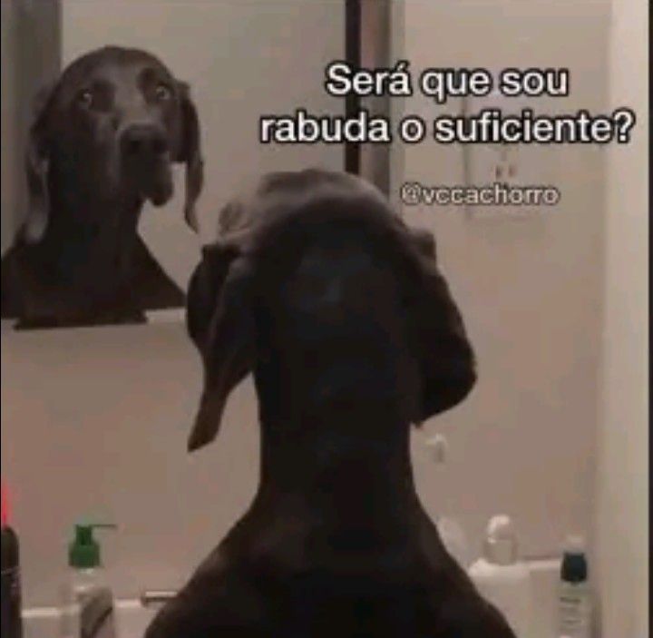 kah! esperando predestinate II tweet media