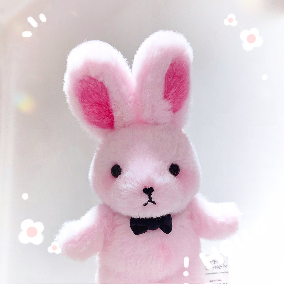리릴림 솜✨️ tweet media