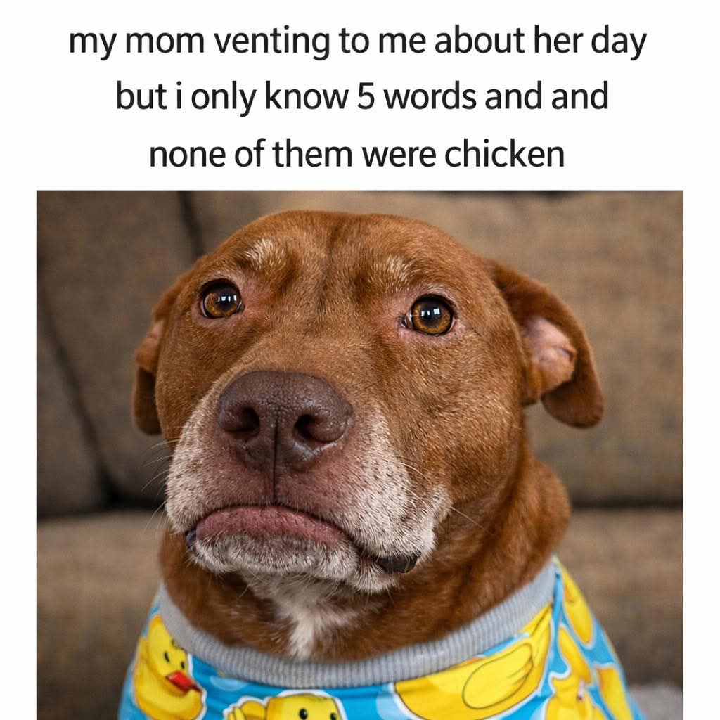 Lola Wigglebutt tweet media