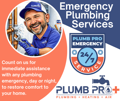 PLUMB PRO PLUS tweet media