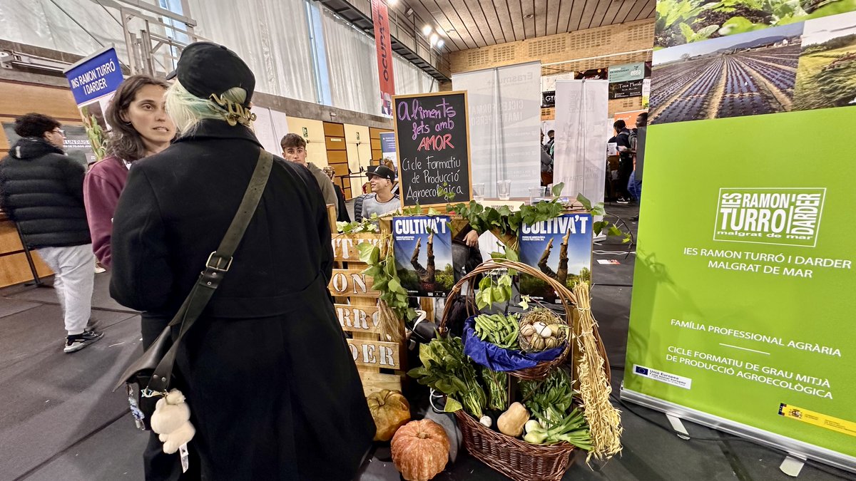 Aj de Malgrat de Mar tweet media