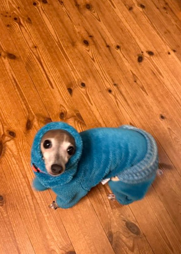 うちも黒かったのですが…