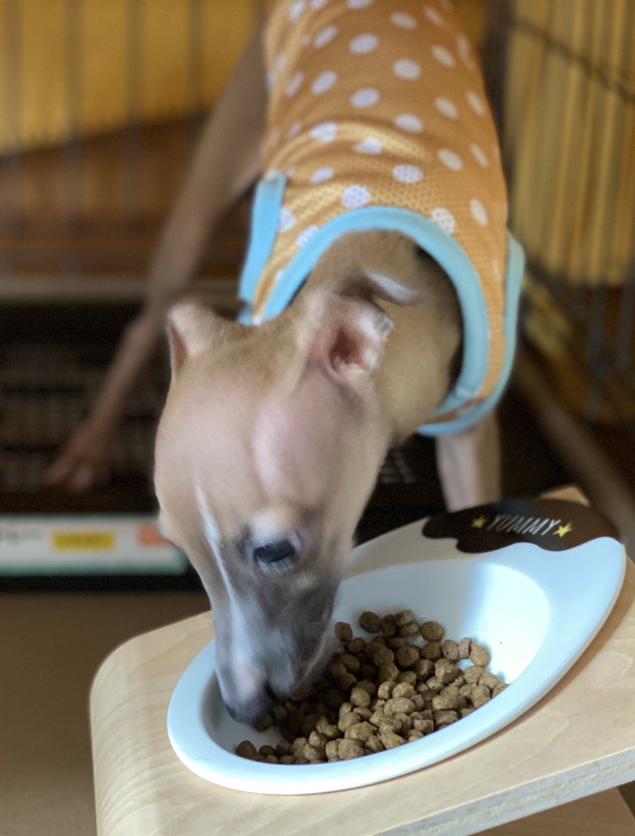 うちも黒かったのですが…