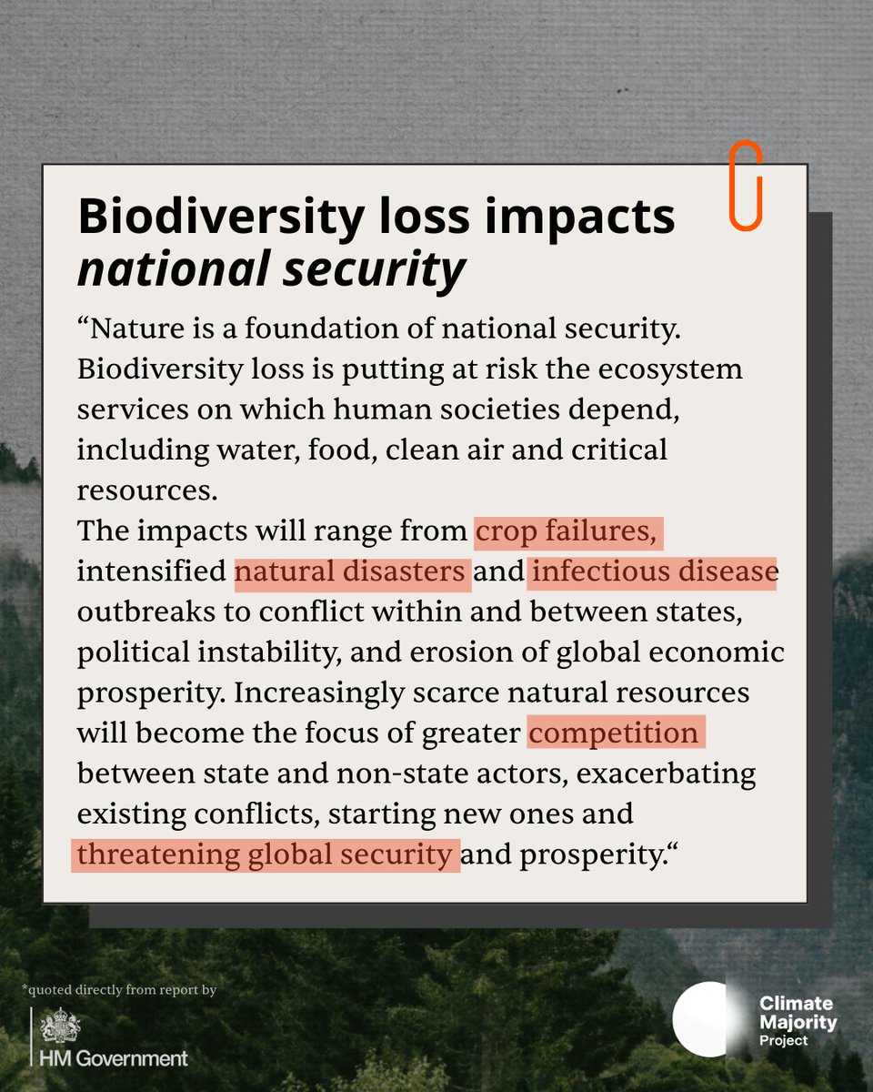 Climate Majority Project tweet media